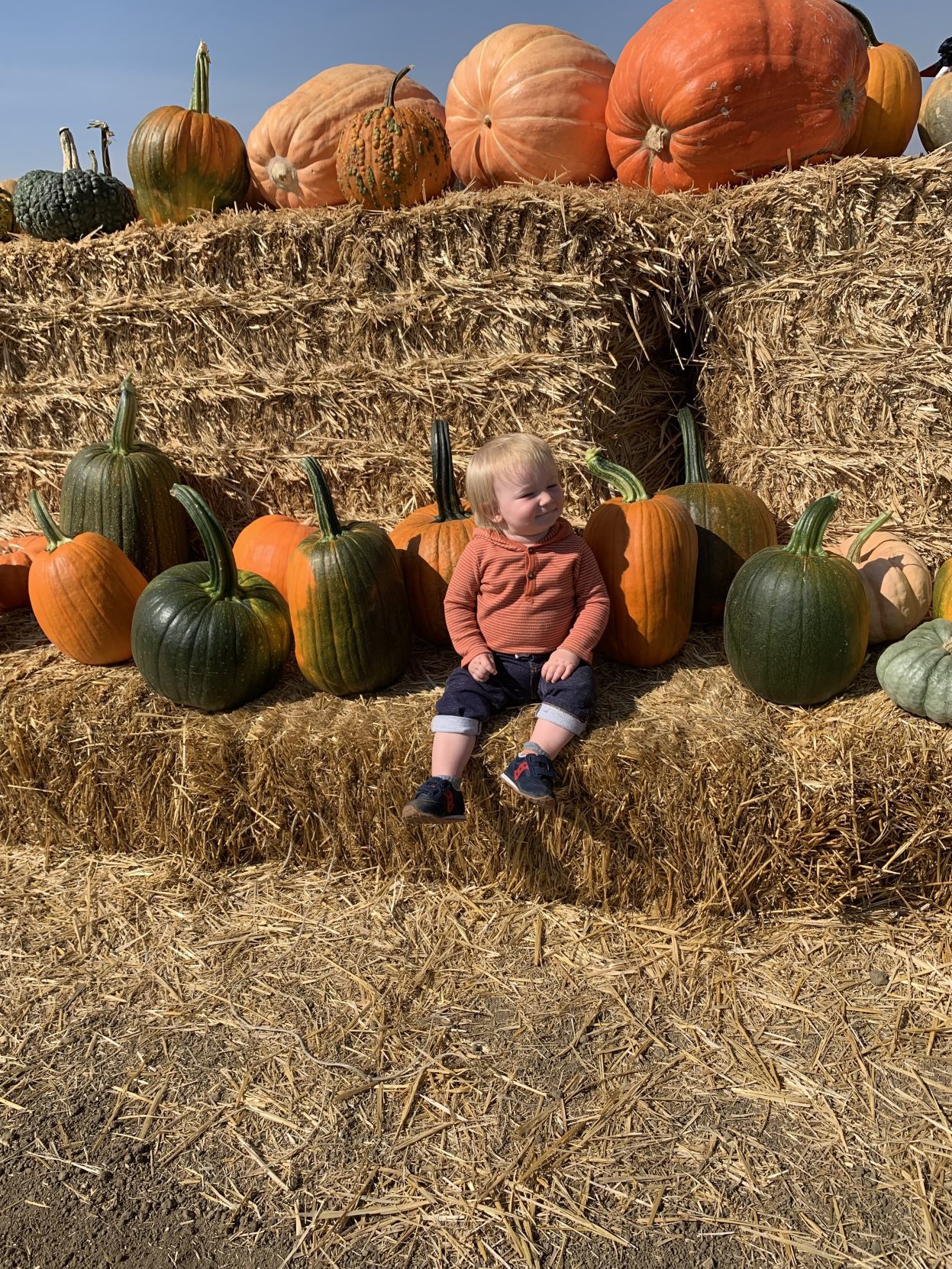 Picking Pumpkins 2019